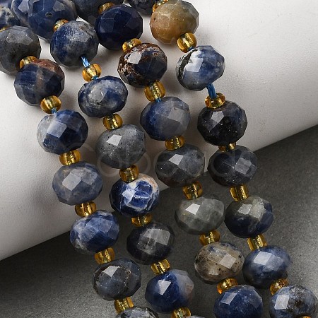 Natural Sodalite Beads Strands G-D105-B09-02-1