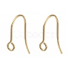 316 Surgical Stainless Steel Earring Hooks X-STAS-P162-13G-B01-1