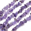 Natural Amethyst Chip Bead Strands G-M205-04-1