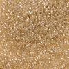 MIYUKI Delica Beads SEED-X0054-DB0101-3