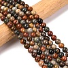 Natural New Ocean Jasper Bead Strands G-G954-01-6mm-1