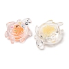 Luminous Transparent Acrylic Pendants TACR-P010-02-4
