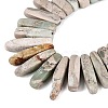 Natural Variscite Beads Strands G-Q616-06E-3