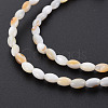 Natural Freshwater Shell Beads Strands SHEL-N027-08B-4
