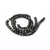 Natural Kambaba Jasper Beads Strands G-M172-10mm-01-2