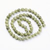 Natural Taiwan Jade Beads Strands X-GSR6mmC032-4