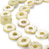 Natural Freshwater Shell Beads Strands SHEL-N026-168C-3