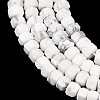 Natural Howlite Beads Strands G-G345-C01-2x4mm-4