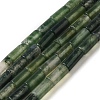 Natural Moss Agate Beads Strands G-B091-A10-01-2