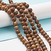 Natural Picture Jasper Round Bead Strands G-G-P070-55-8mm-6
