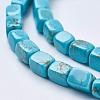 Natural Magnesite Beads Strands TURQ-K003-11C-3