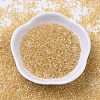 MIYUKI Delica Beads X-SEED-J020-DB0100-2