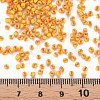 12/0 Glass Seed Beads SEED-R001-8-4