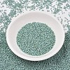 MIYUKI Delica Beads SEED-X0054-DB2313-2