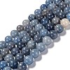 Dyed & Heated Natural Blue Aventurine Beads Strands LS-G-F380-10mm-1