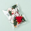 OPP Cellophane Bags OPC-R012-02-5