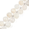 Natural White Moonstone Beads Strands G-G182-B09-05-2