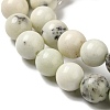 Natural Dendritic Jasper Beads Strands G-H298-A15-03-4
