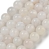 Natural Rainbow Moonstone Beads Strands X-G-C068-8mm-1A-2
