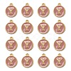 Golden Plated Alloy Enamel Charms LS-ENAM-S118-07Y-2