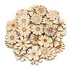 Unfinished Wooden Cutouts WD-CBACC5B-24-1