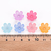 Frosted Acrylic Bead Caps MACR-S371-07A-4