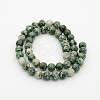 Natural Green Spot Jasper Round Bead Strands G-P070-45-12mm-2