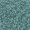 MIYUKI Delica Beads X-SEED-J020-DB1767-3