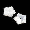 Natural White Shell Carved Beads SSHEL-I026-12E-06-2