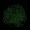 Luminous Glass Seed Beads X1-SEED-A033-07K-5