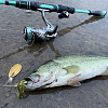 60Pcs 5 Styles Iron Fishing Lures FIND-FH0010-43B-6