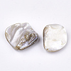 Freshwater Shell Beads SSHEL-T005-11-3