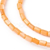 Natural Freshwater Shell Dyed Beads Strands SHEL-M018-12-07-3