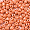 6/0 Glass Seed Beads SEED-S058-A-F422-3