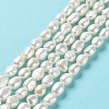 Natural Cultured Freshwater Pearl Beads Strands PEAR-Z002-16-2