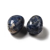 Natural Blue Spot Jasper Beads G-G979-A18-3