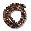 Natural Black Moonstone Beads Strands G-A219-A01-02-9
