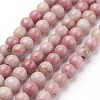 Natural Rhodonite Beads Strands G-G099-4mm-33-1