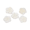 Natural Freshwater Shell Carved Beads BSHE-S304-16-1