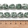 Natural Green Spot Jasper Beads Strands GG-CBAF8A8-A01-01-3