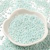 Cylinder Seed Beads SEED-H001-B01-1