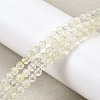 Watermelon Stone Glass Beads Strands G-L621-B04-4mm-1