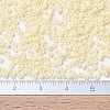 MIYUKI Round Rocailles Beads SEED-G007-RR0492-4