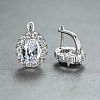 Brass Cubic Zirconia Hoop Earrings WGD6818-05-1