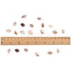 Natural Spiral Shell Beads SSHEL-PH0002-03-3