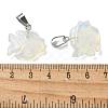 Opalite Pendants G-B127-16P-06-3