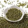 Baking Paint Glass Seed Beads SEED-S042-15A-16-2