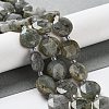 Natural Labradorite Beads Strands G-NH0004-001-2