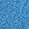 11/0 FGB Grade A Transparent Glass Seed Beads X-SEED-N001-F-256-2