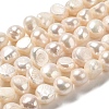 Natural Cultured Freshwater Pearl Beads Strands PEAR-E017-13-1